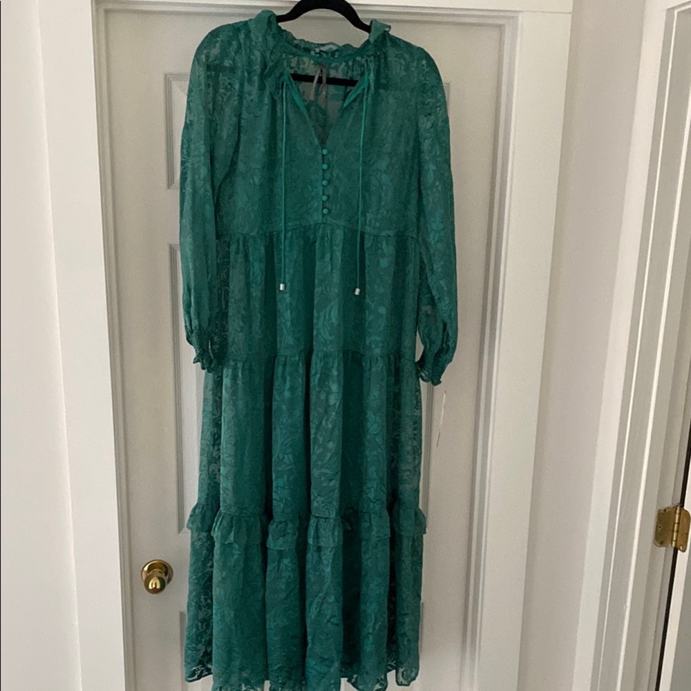 Anthropologie Elegant Green Lace Maxi Dress